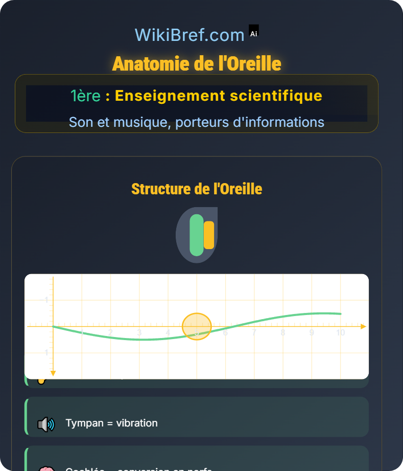 Entendre la musique et perception humaine Son et musique, porteurs d'informations