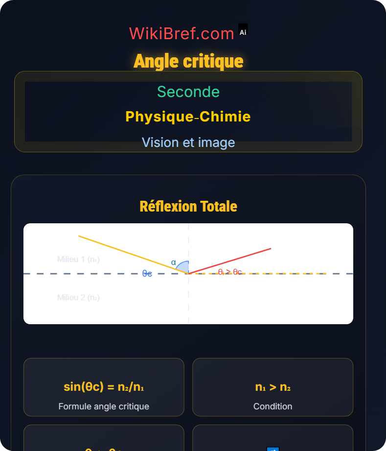 Réflexion et réfraction de la lumière Vision et image