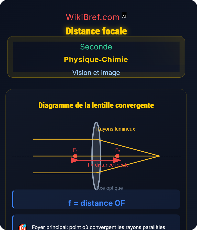 Lentilles convergentes et formation d’images Vision et image