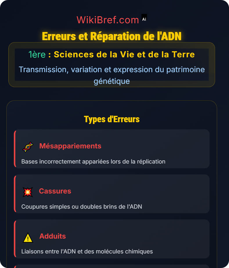 La réplication de l’ADN Transmission, variation et expression du patrimoine génétique