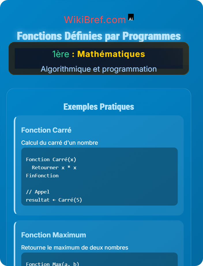 Fonctions définies par programmes Applications de programmation