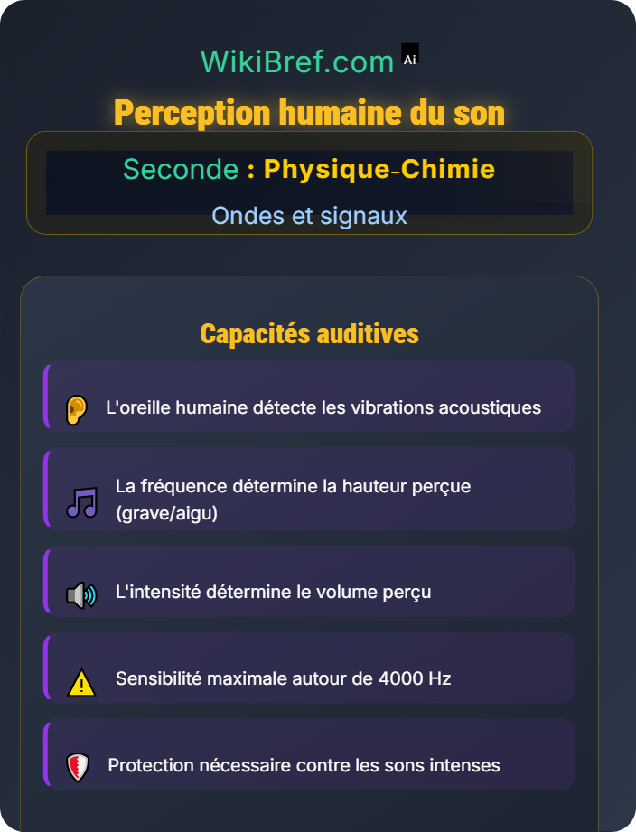 Perception humaine du son Fréquence, intensité et perception du son