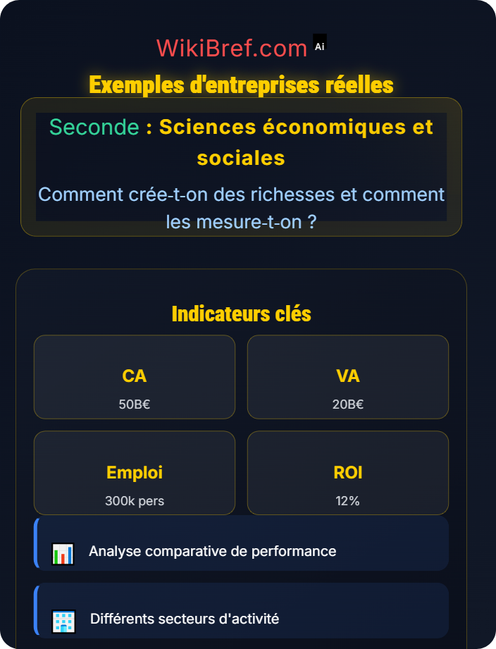 Exemples d’entreprises réelles Mesure des richesses produites : l’exemple d’une entreprise