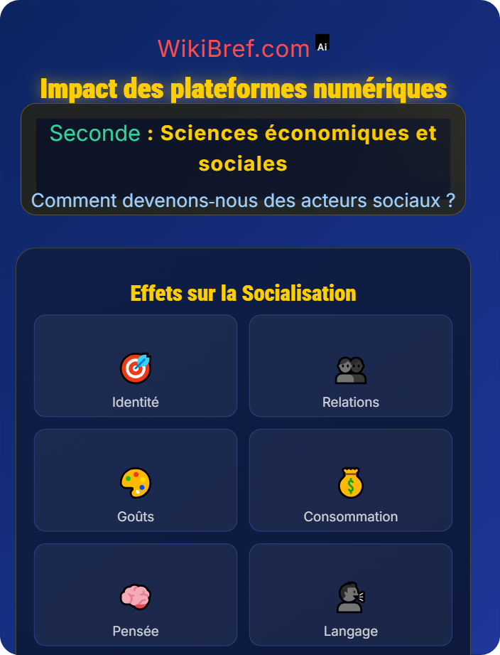 Impact des plateformes numériques Socialisation et médias
